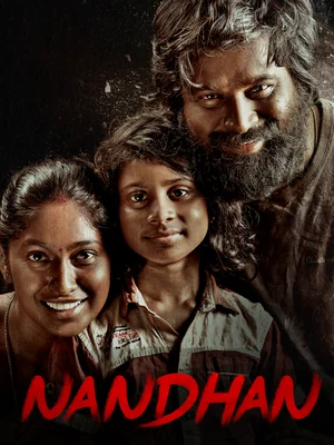 Official film artwork for Nandhan